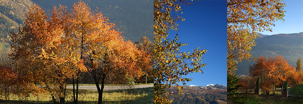 L'automne au chalet des Alpes - Vue sur les Arcs et le Mont Pourri